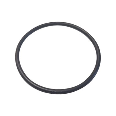 O-Ring Mounting for 2" NPT O-Ring Mounting for 2" NPT